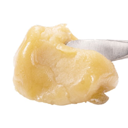 Purple Plague Live Rosin